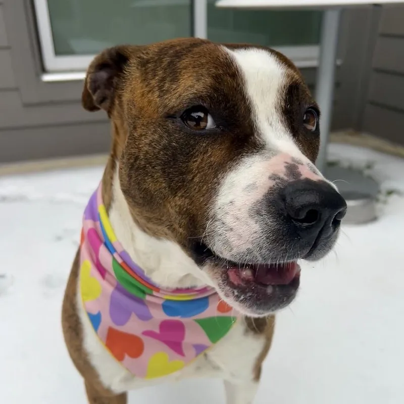 Cosmopolitan thumbnail 5