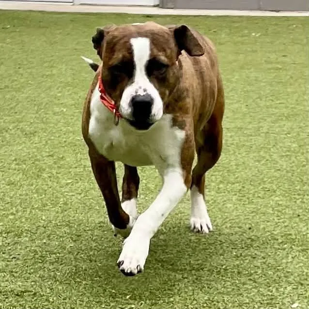 Cosmopolitan thumbnail 6