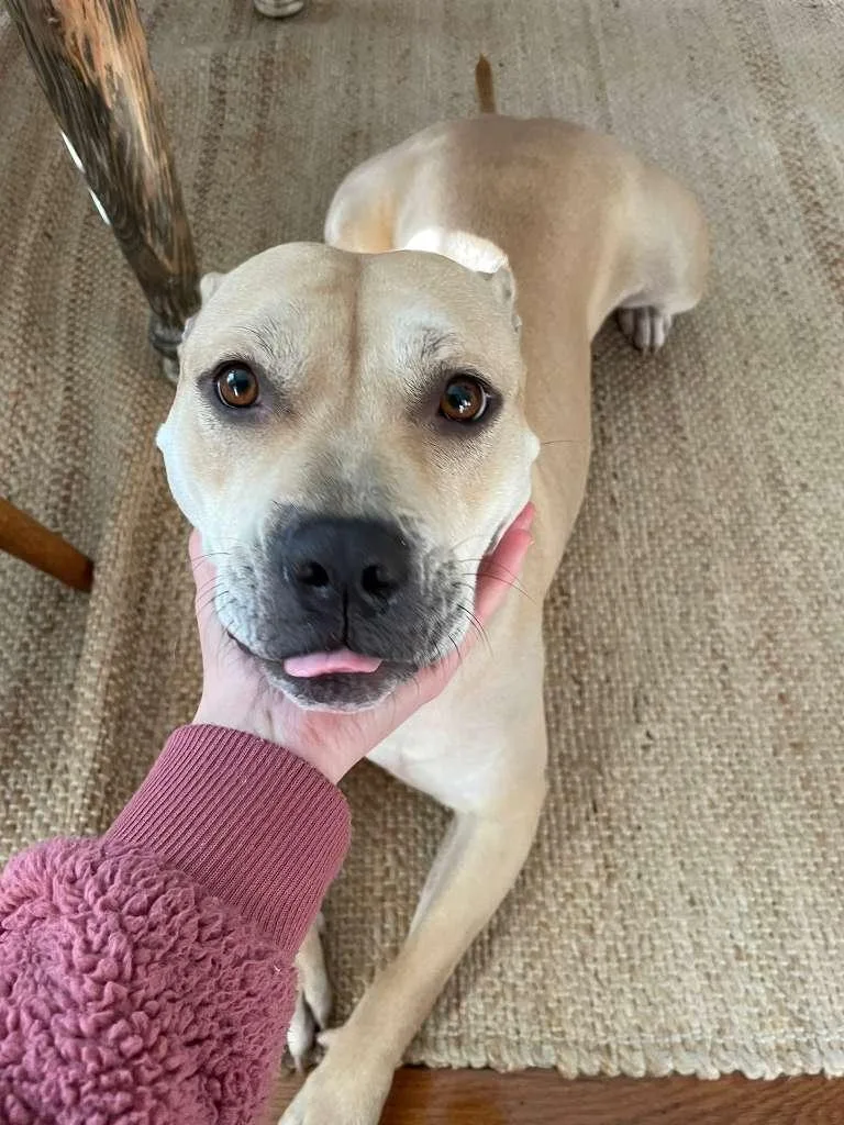 Daisy Mae thumbnail 2