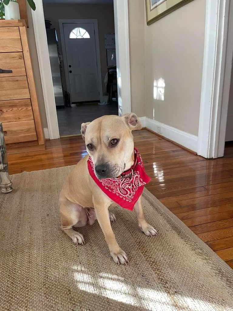 Daisy Mae thumbnail 3