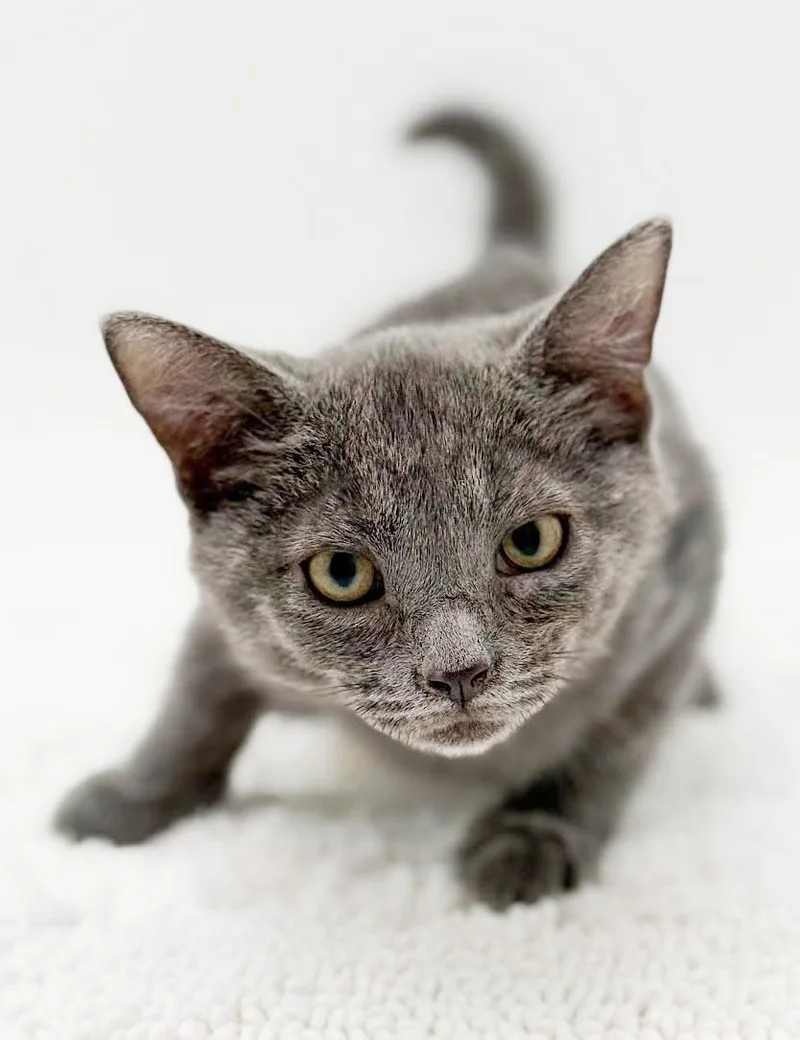 Sapphire is a real