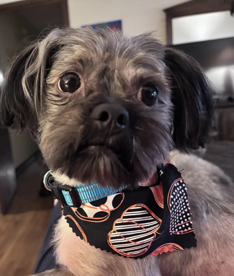 Sammy thumbnail 2