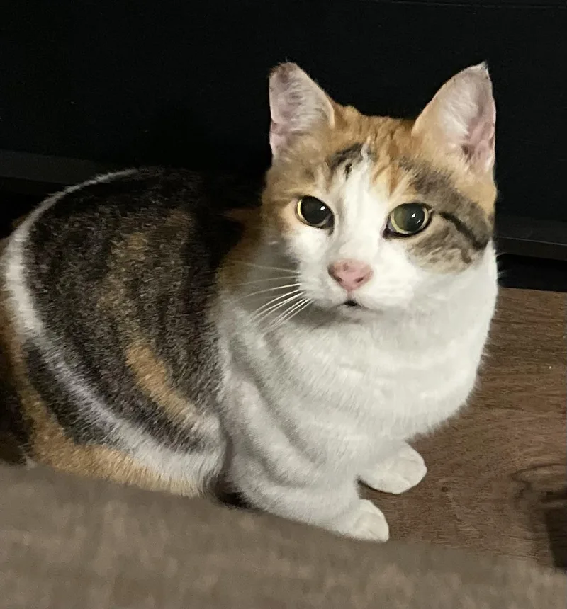 Daisy Mae thumbnail 2