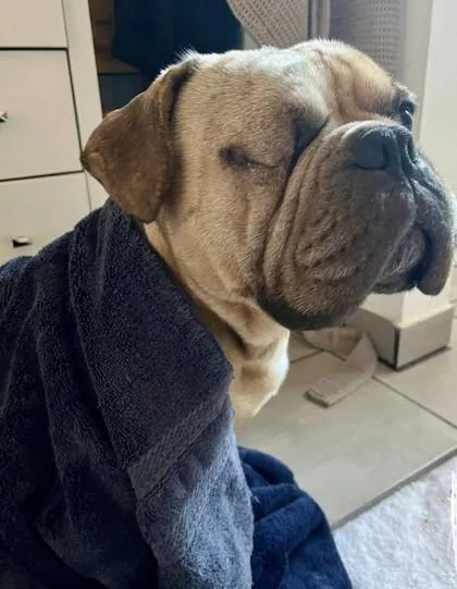 Duke Ellington thumbnail 2