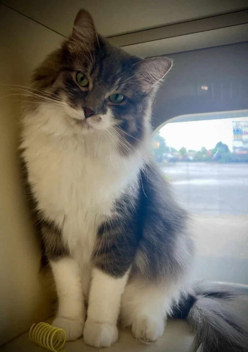 Tom