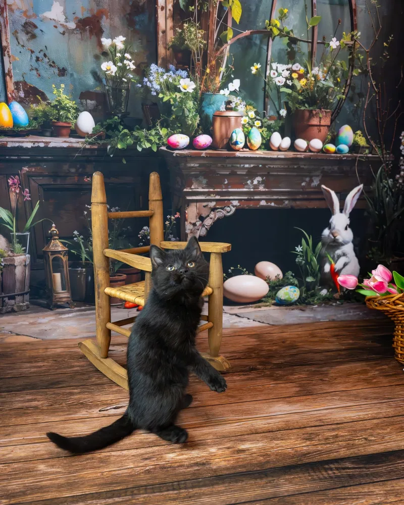 Midnight thumbnail 2