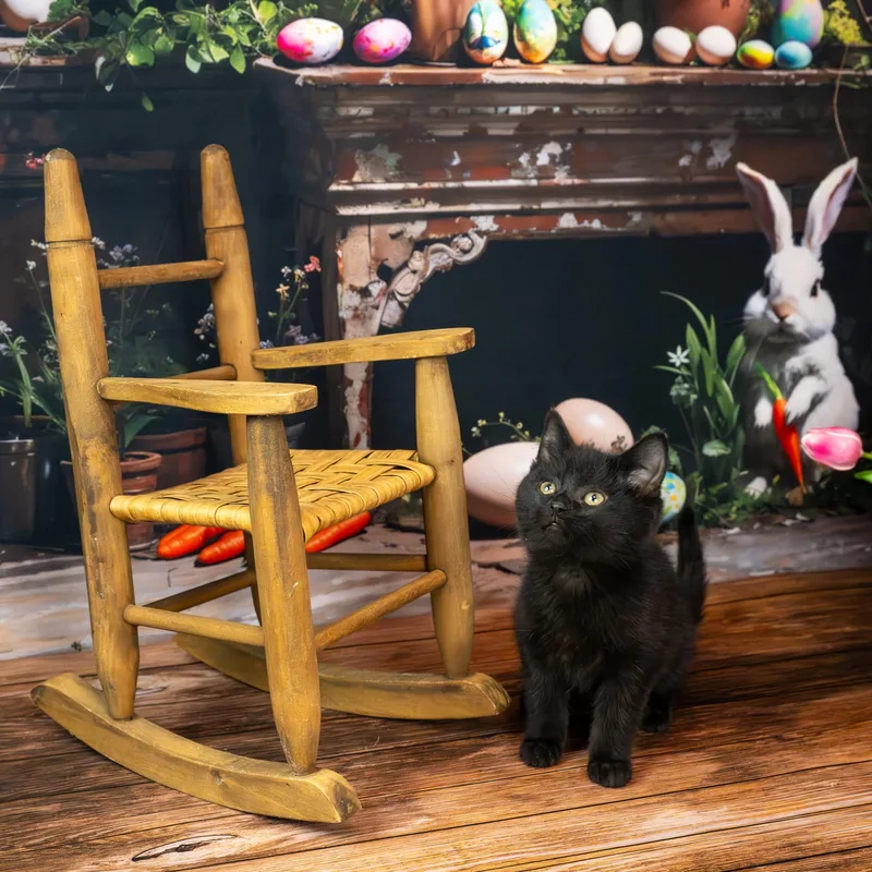 Midnight thumbnail 3