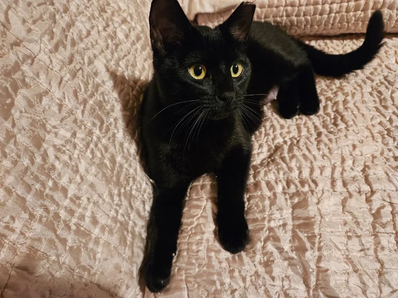 Daisy Ann thumbnail 4