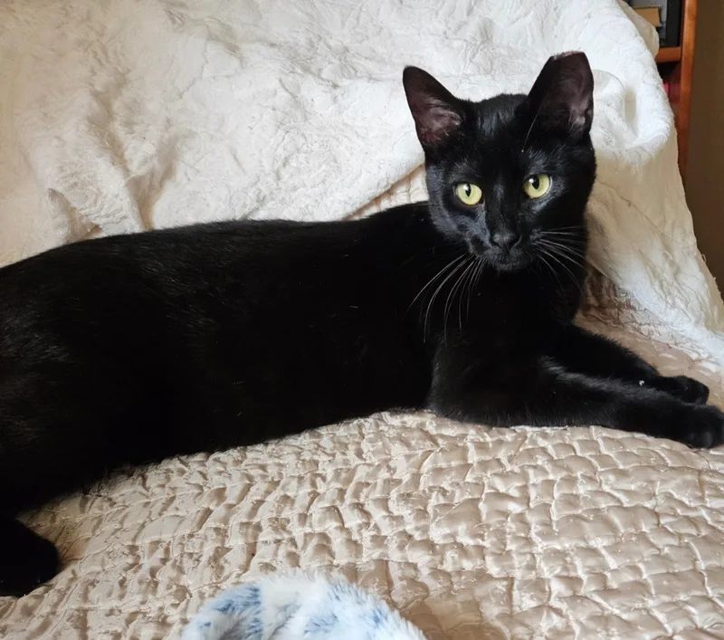 Daisy Ann thumbnail 5