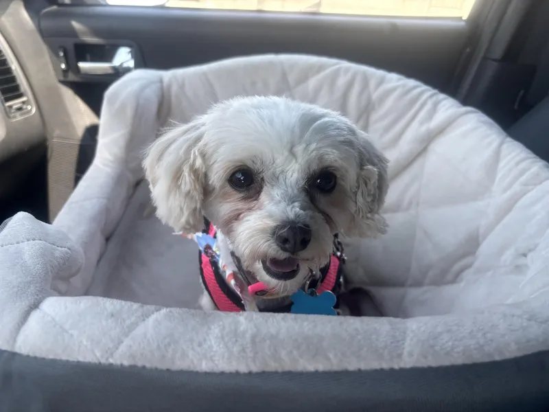 Sally thumbnail 4