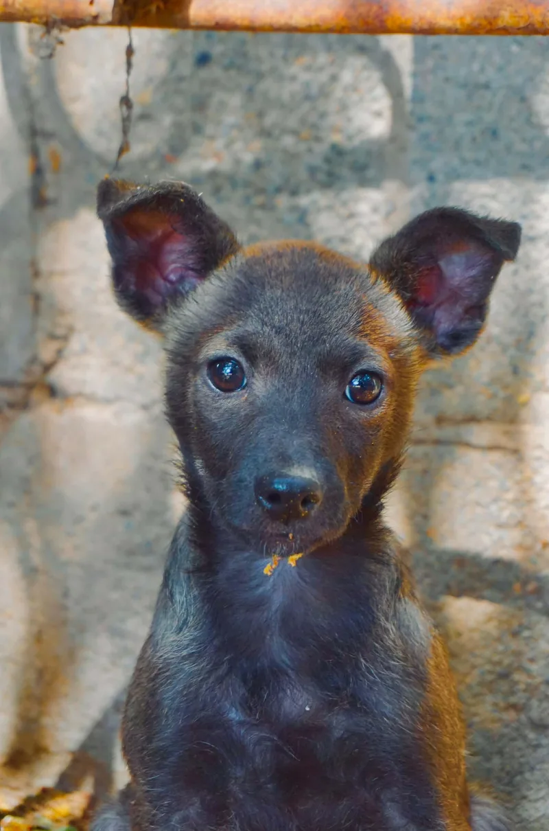 Rosita thumbnail 2