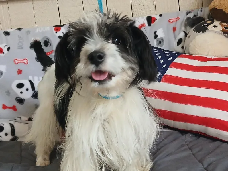 Wally thumbnail 2