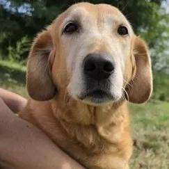 Millie thumbnail 3