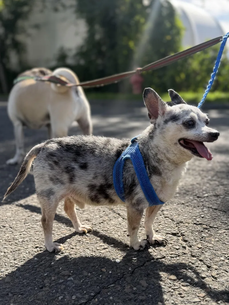 Handsome Artie thumbnail 4