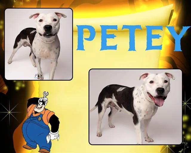 Petey