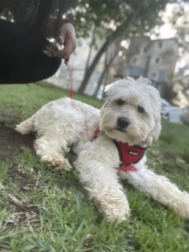 Mary Joe  Yr thumbnail 2