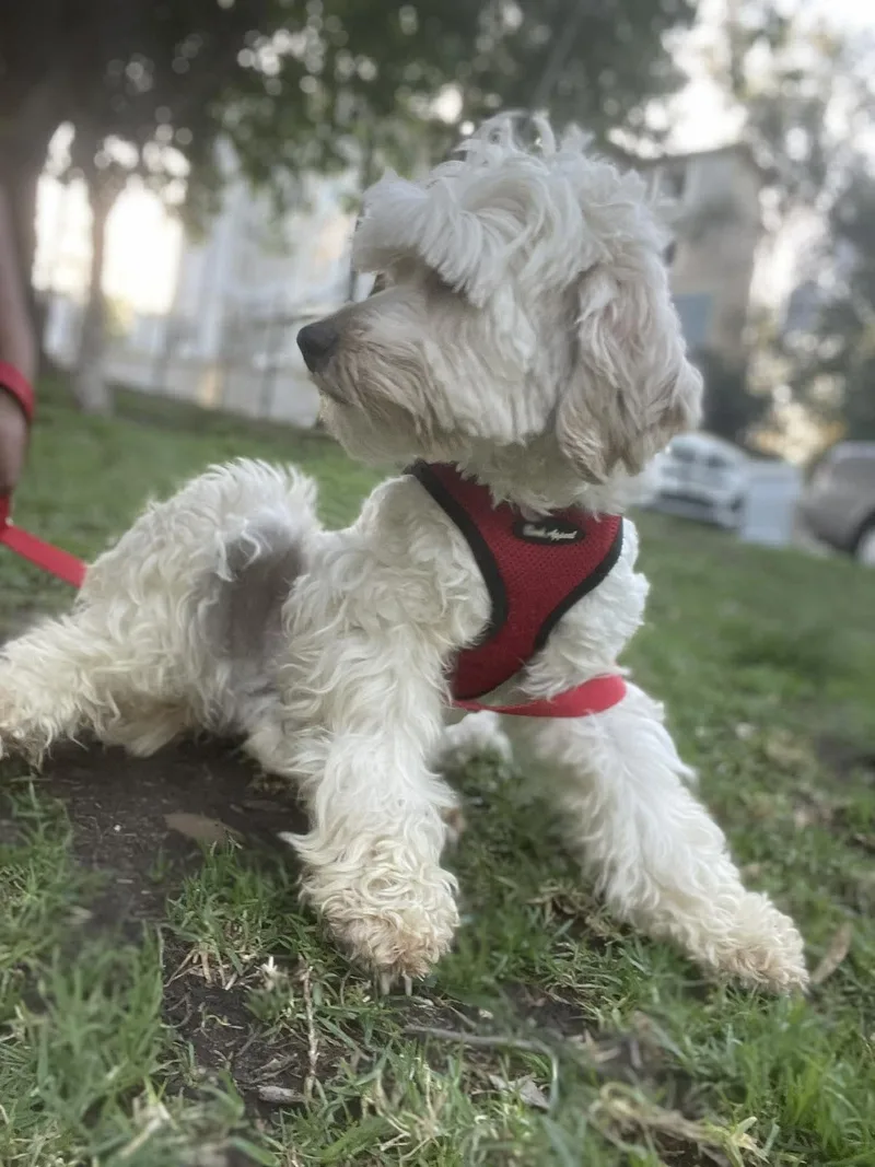 Mary Joe  Yr thumbnail 3