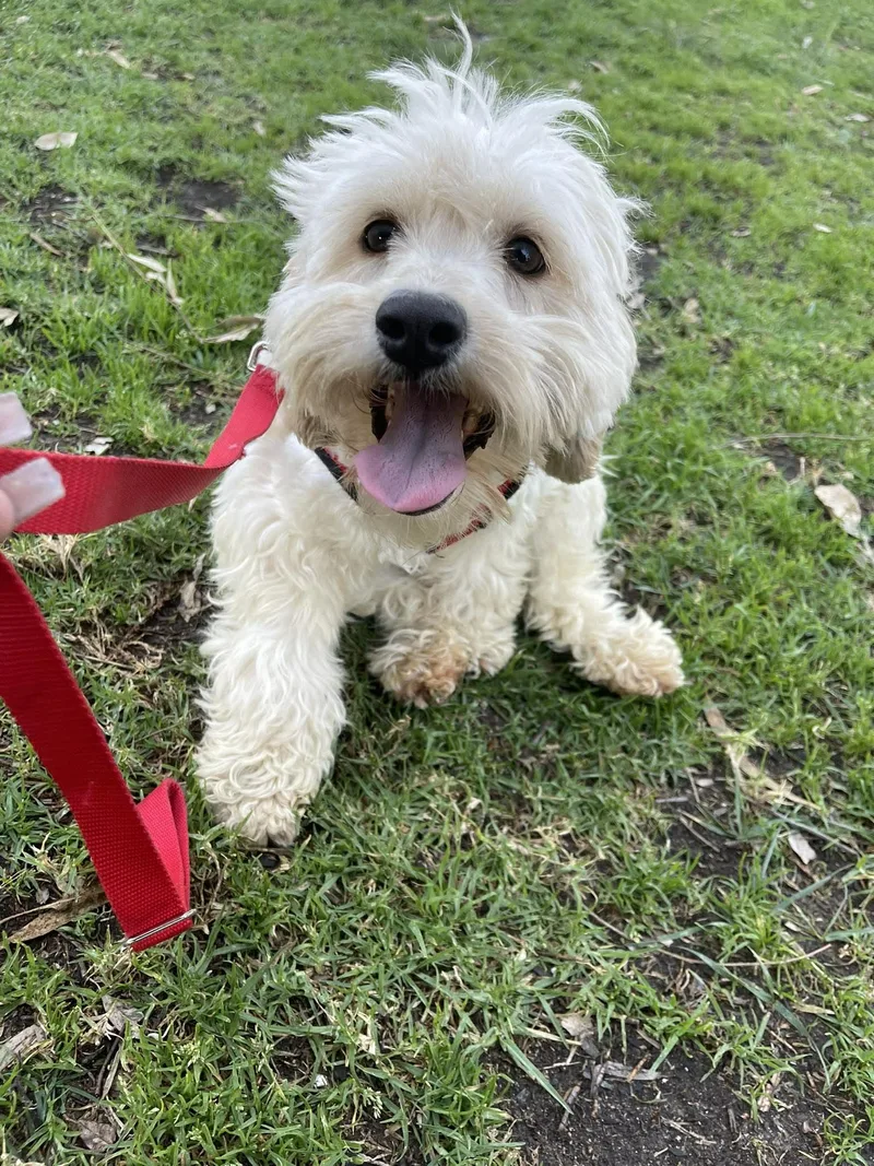 Mary Joe  Yr thumbnail 4