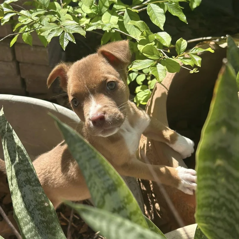 Bruno Mars thumbnail 4