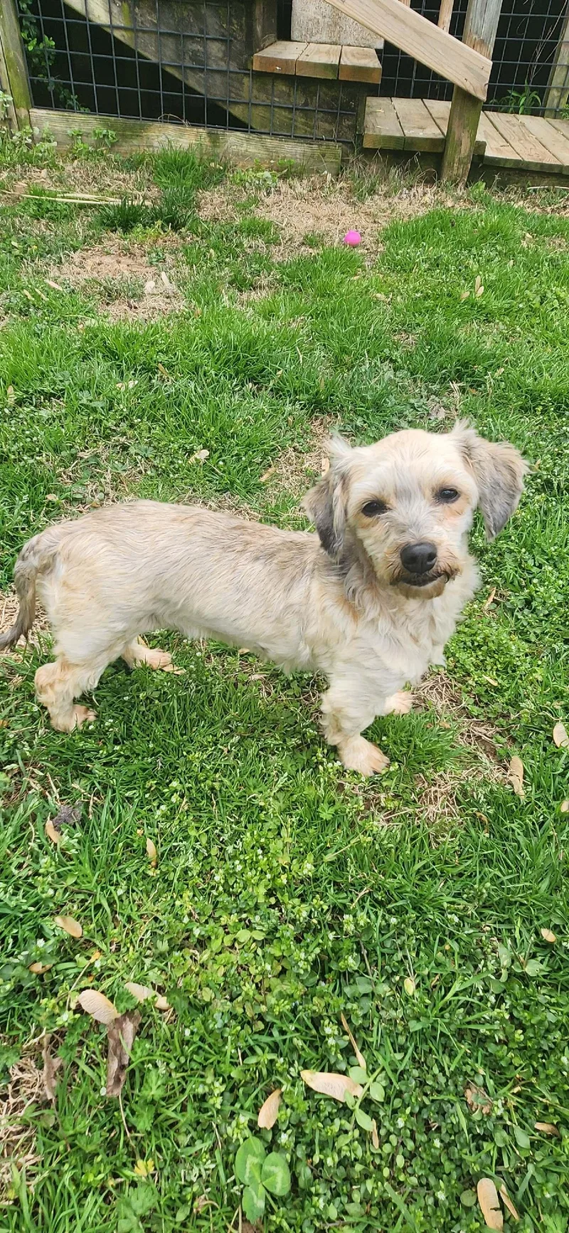 Janie:will Be Stunning When thumbnail 2