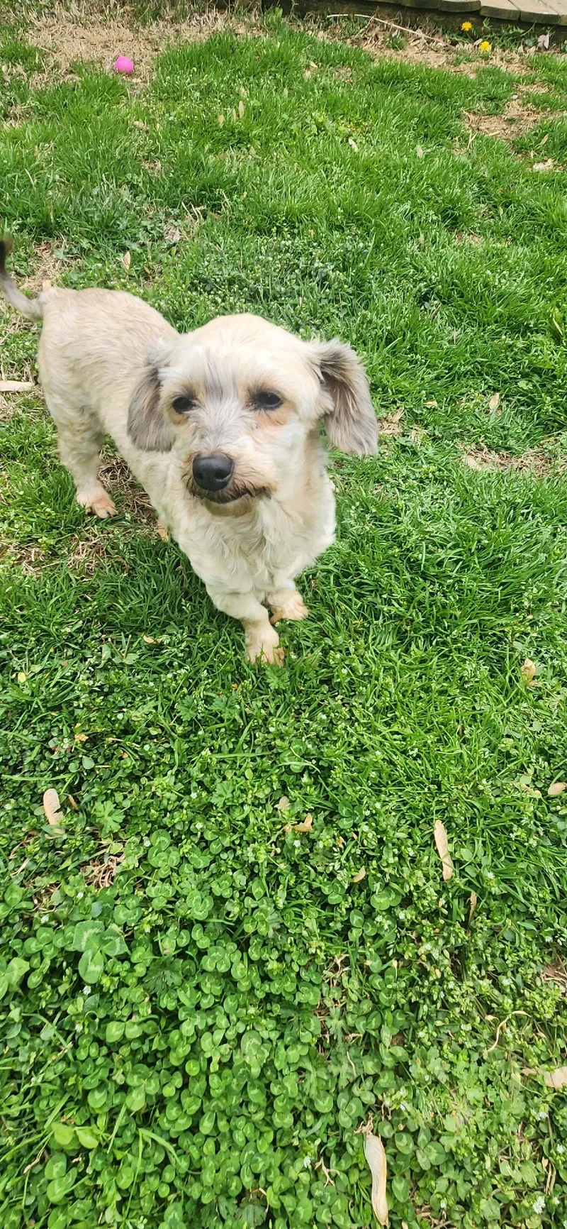 Janie:will Be Stunning When