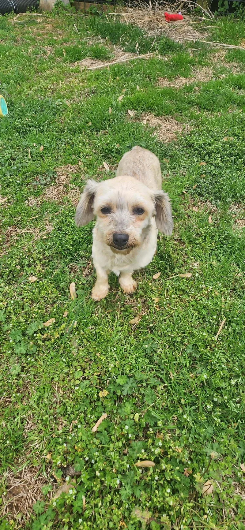 Janie:will Be Stunning When thumbnail 3