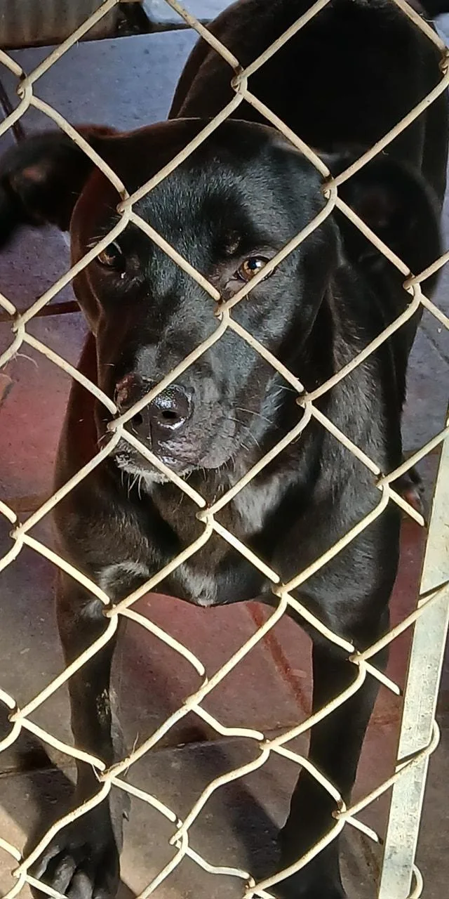 Pennypiperpenelope thumbnail 3