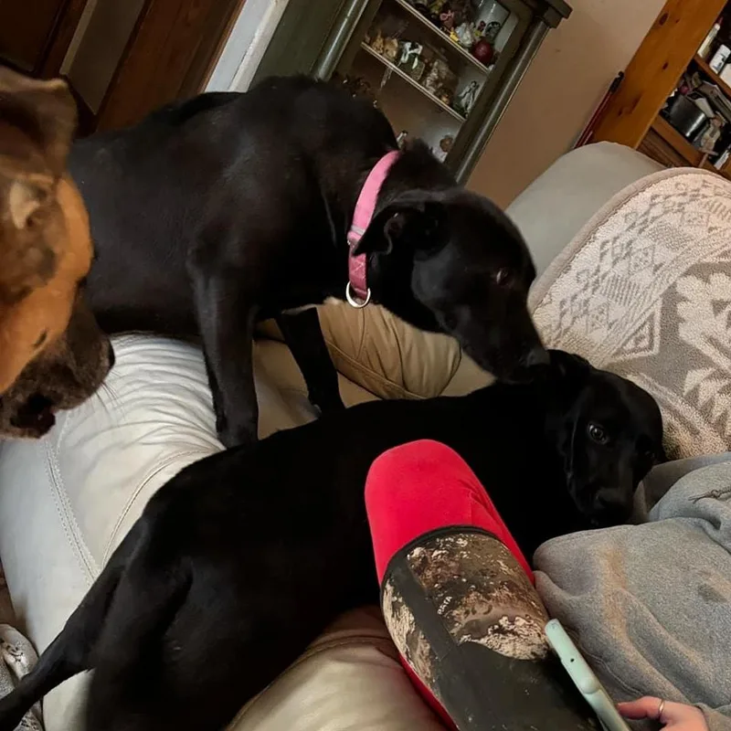 Pennypiperpenelope thumbnail 5