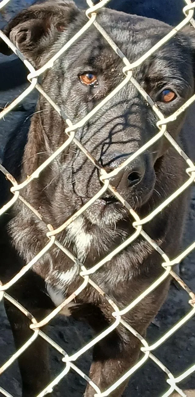 Pennypiperpenelope thumbnail 6