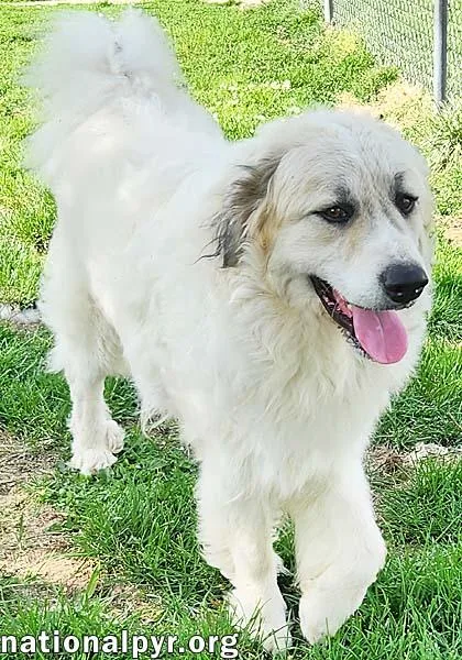 Oakley In Ky