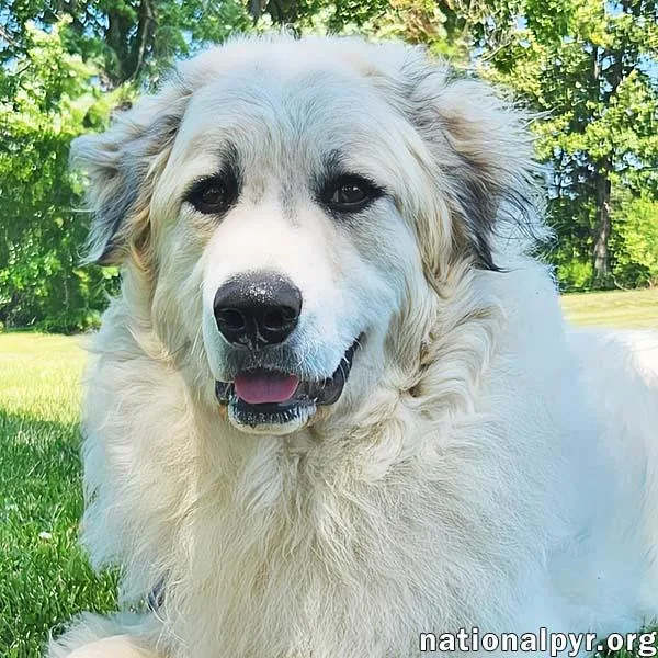 Oakley In Ky  thumbnail 3