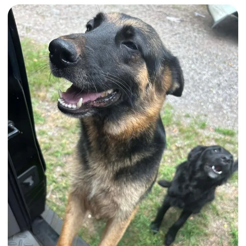 Tasha