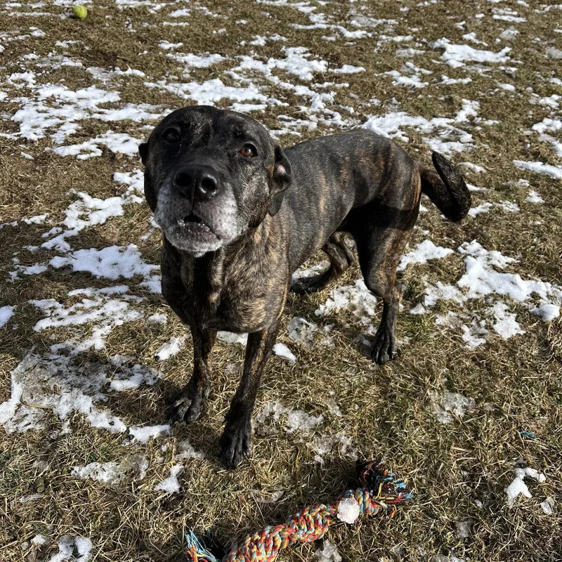 Fantasia thumbnail 2