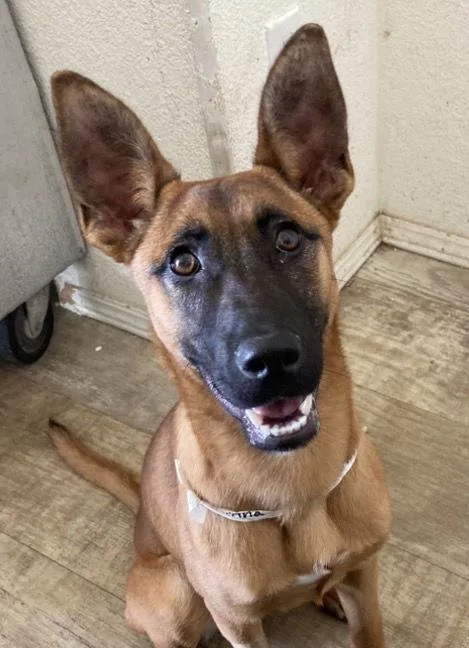 Valentina thumbnail 2