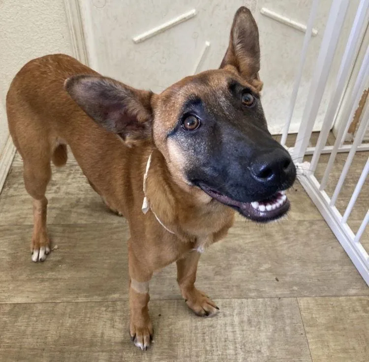 Valentina thumbnail 3