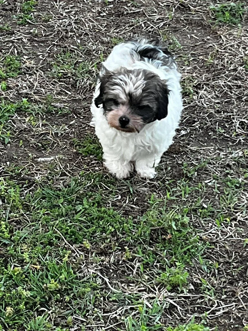 Winnie   $ thumbnail 2