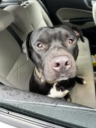 Charlie Brown thumbnail 3