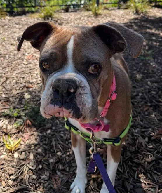 Polliwog thumbnail 2