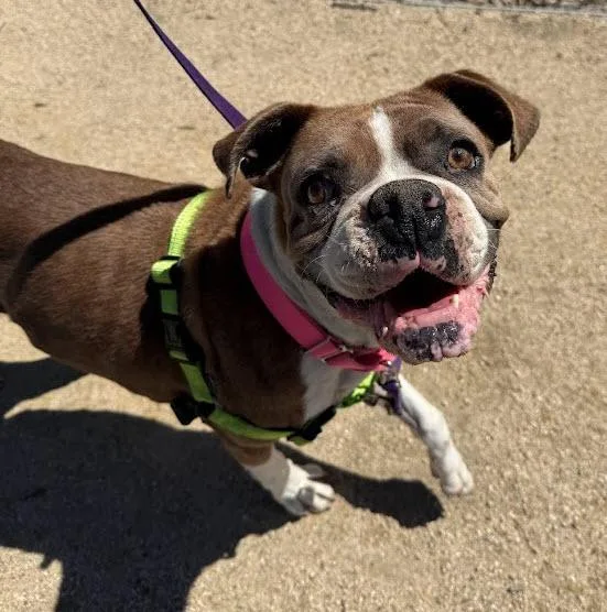 Polliwog thumbnail 3