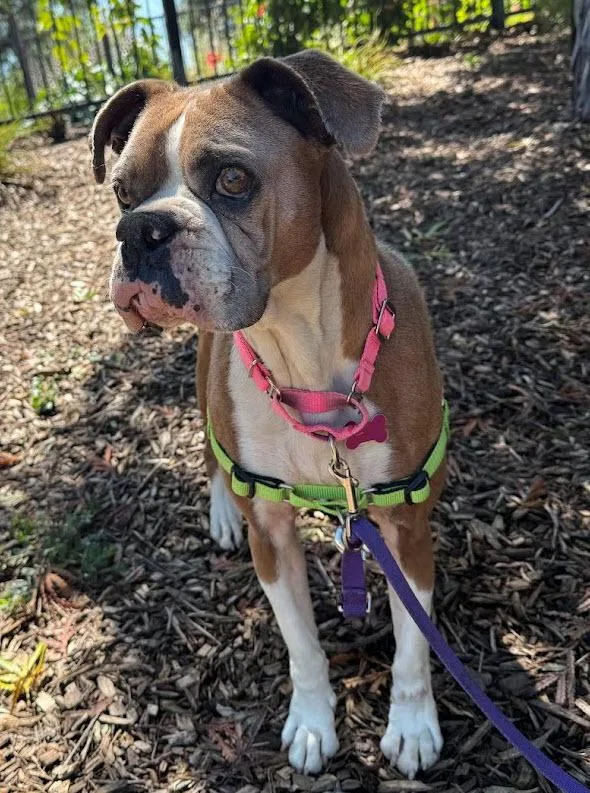 Polliwog thumbnail 4