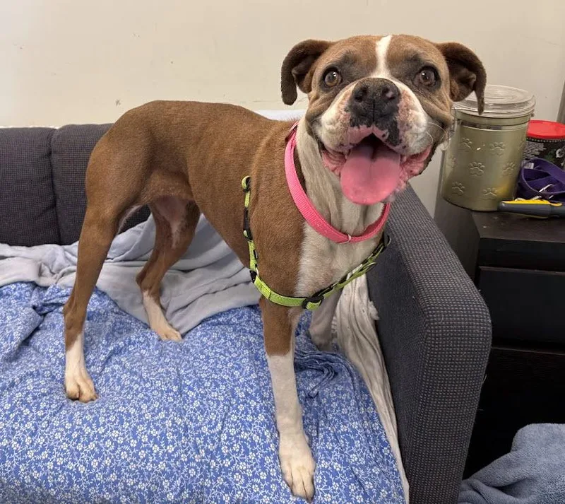 Polliwog thumbnail 5