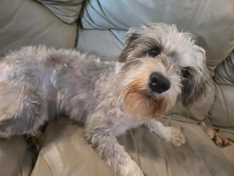 Murphy