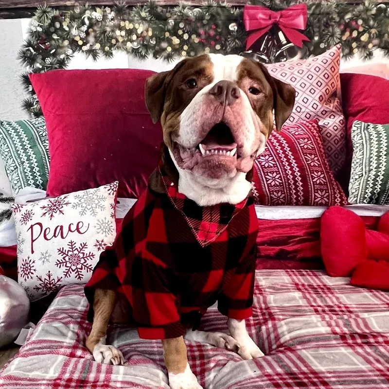 Princeton thumbnail 2