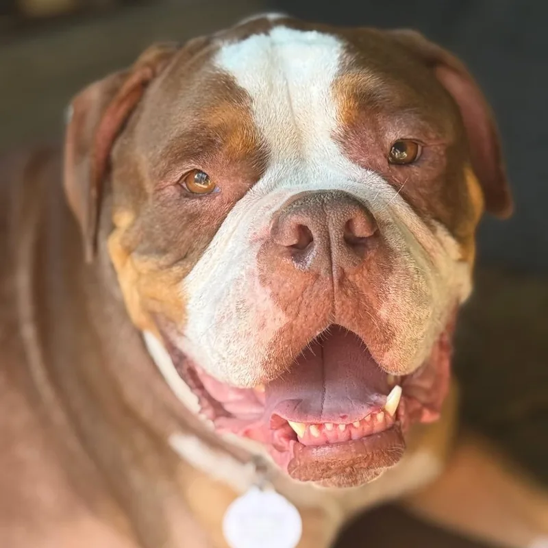 Princeton thumbnail 3