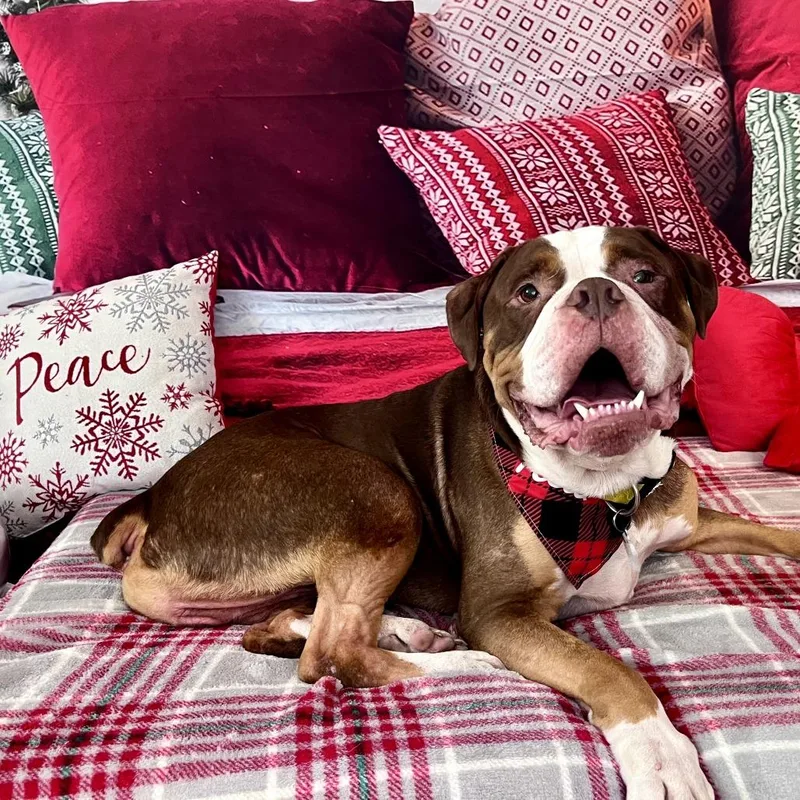 Princeton thumbnail 5