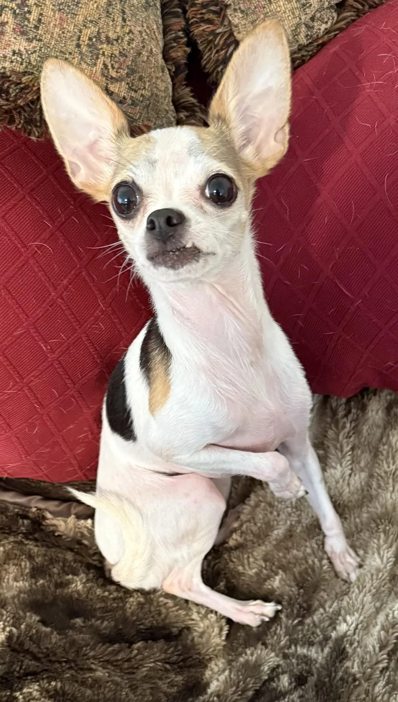 Zoe