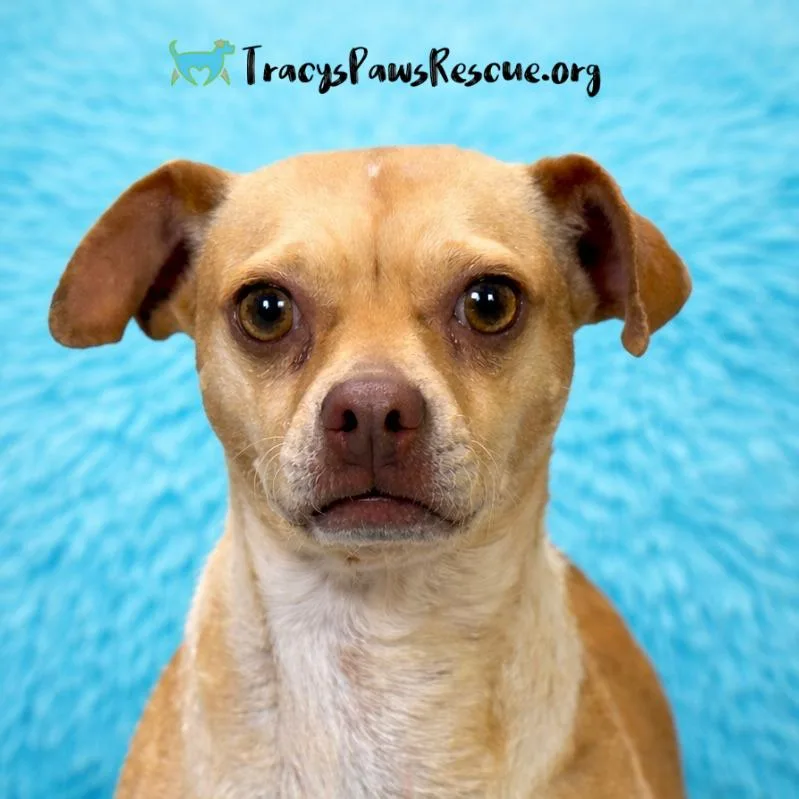 Lyrica:  Pounds Of thumbnail 5