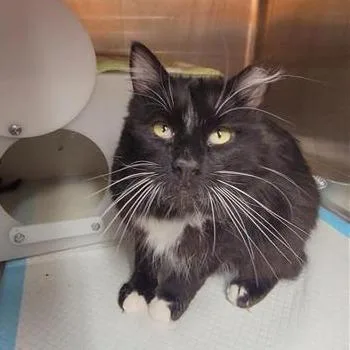 Brighton thumbnail 2