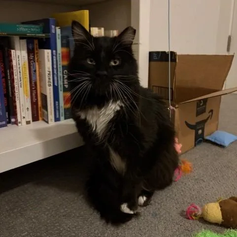 Brighton thumbnail 6