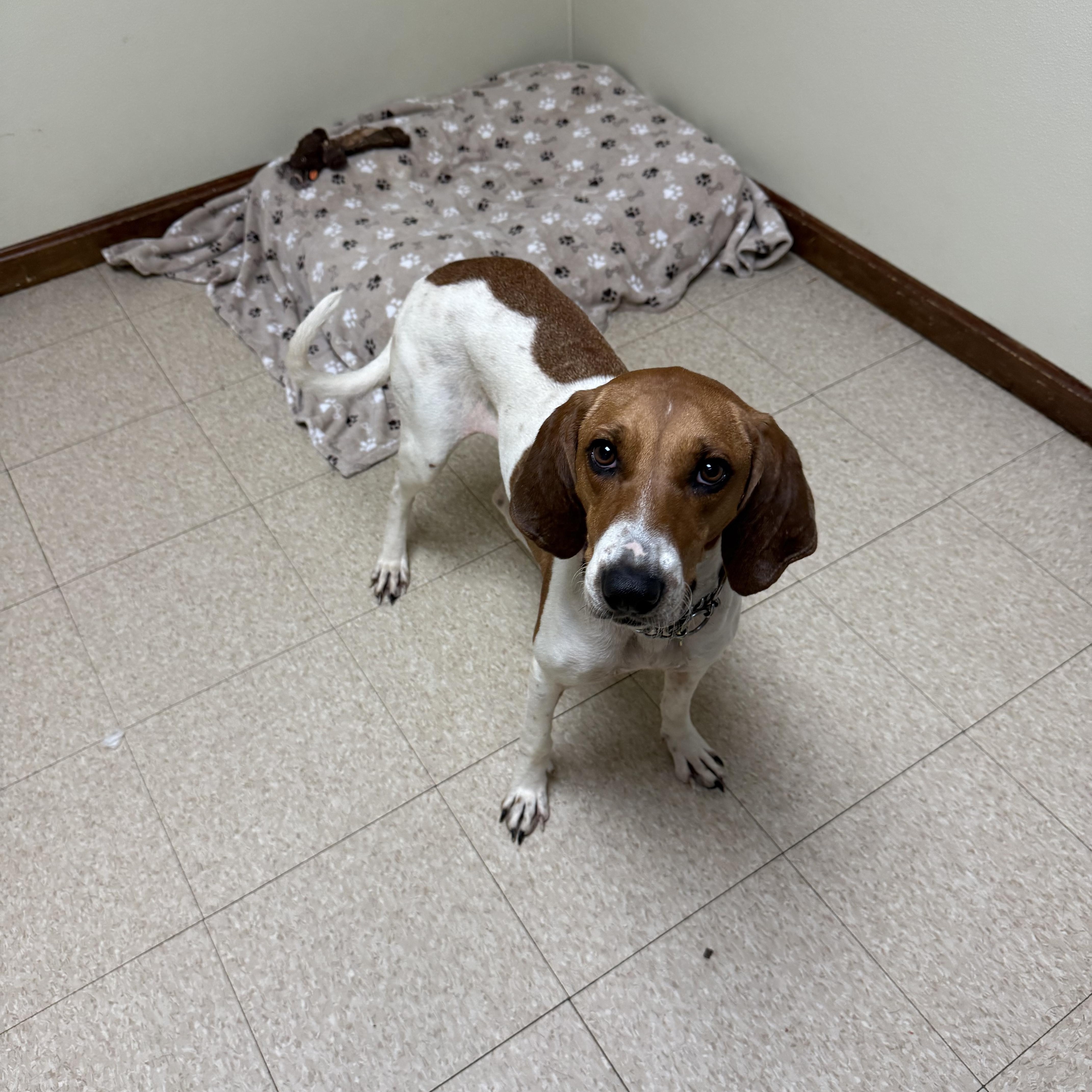 Peggy Sue thumbnail 2